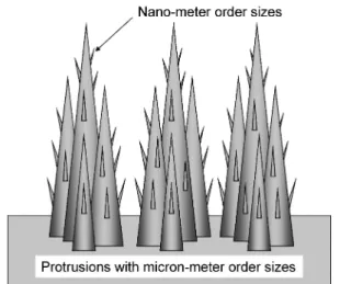 Fig. 14 Schematic model of a group of multilevel protru- protru-sions. The sizes are corresponding to the wave lengths of visible light and infrared ray.