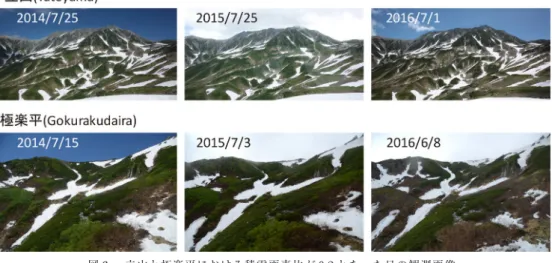 Fig. 5　 Time series change on the day when the snow  pixel ratio declined below 0.2.