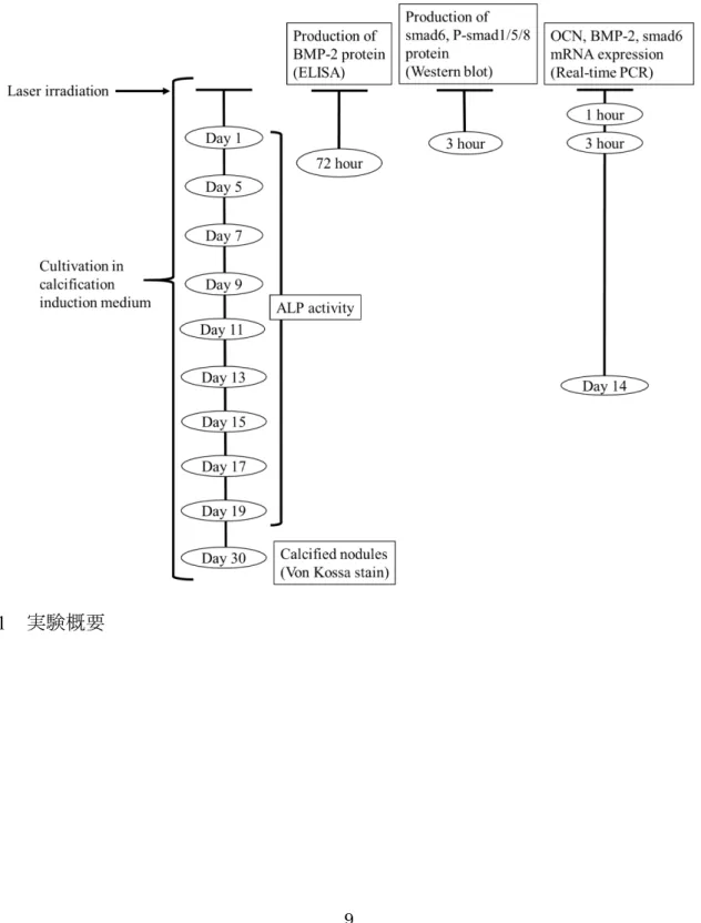 Fig. 1 実験概要