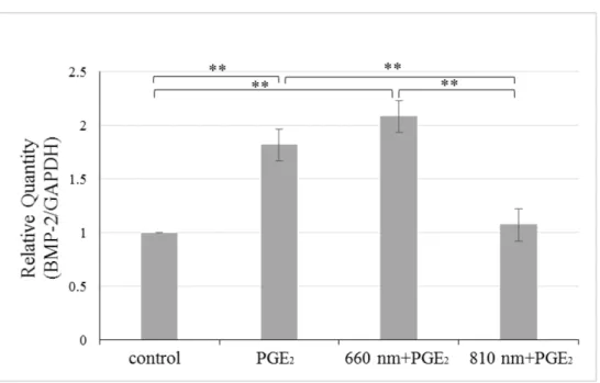 Fig. 7 半導体レーザーおよび PGE 2 の BMP-2 mRNA 発現量に与える影響