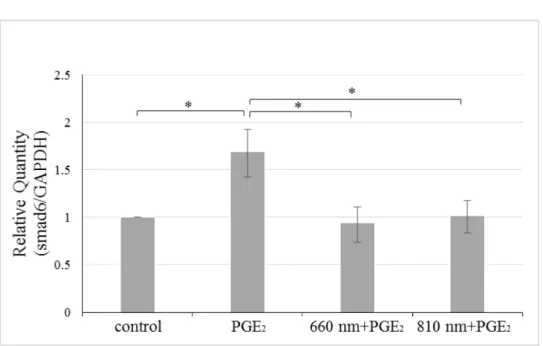Fig. 8 半導体レーザーおよび PGE 2 の smad6 mRNA 発現量に与える影響