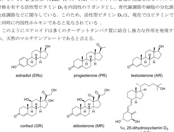 Figure 2-2.  核内受容体の内因性リガンドとしてのステロイド誘導体 