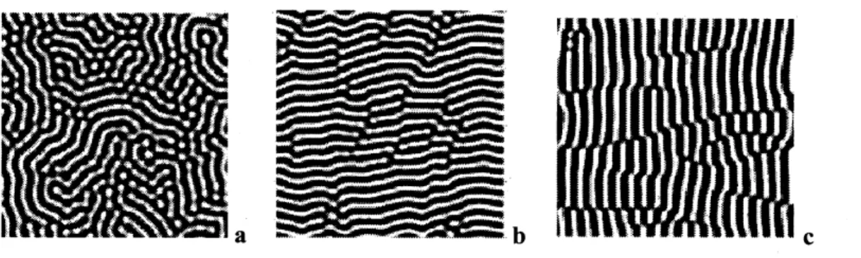 Figure 2 The obtained pattems by computer simulation (1) The effect ofpositive same anisotropy