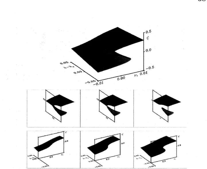 FIG. 3: Top: The surface $C^{3}-(\lambda_{c}-\lambda)c+\nu_{1}=0$ in the space spanned by $C,$ $\lambda,$ $\nu_{1}$ (the cusp catastrophe)