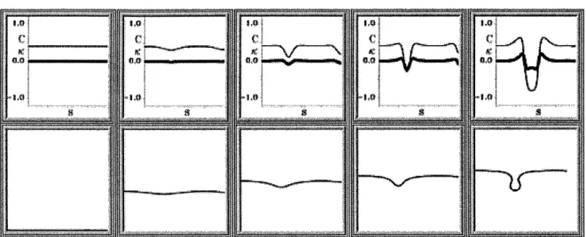 FIG. 8: A solution to Eqs. (4) and (5) when the two-dimensional front is unstable to transverse perturbations
