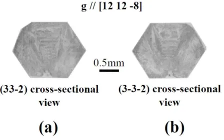 図 3-7. (12 12 -8)回折像の断面図. ( a ) (33-2)断面. ( b ) (3-3-2)断面. 
