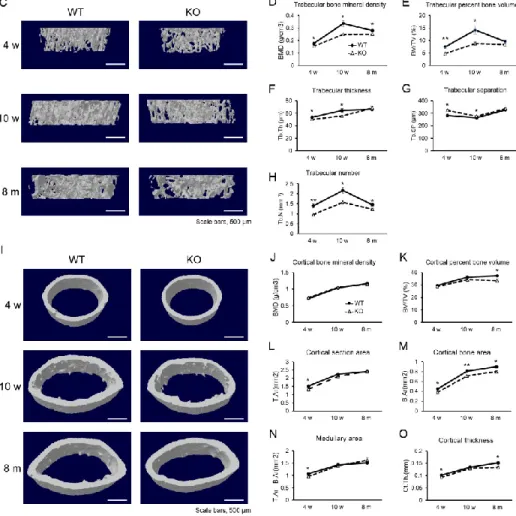 Figure 1. Kajitani et al.