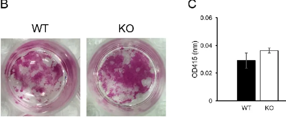 Figure 2. Kajitani et al.