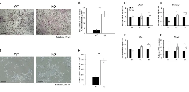 Figure 3. Kajitani et al.