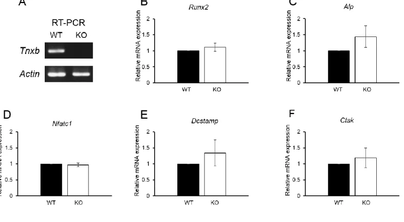 Figure 4. Kajitani et al.