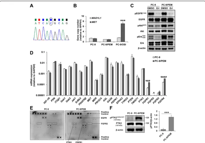 Fig. 2 PC-9/PEM exhibits PTK2 hyperphosphorylation. a Direct sequencing chromatogram at the T790 site of EGFR in PC-9/PEM