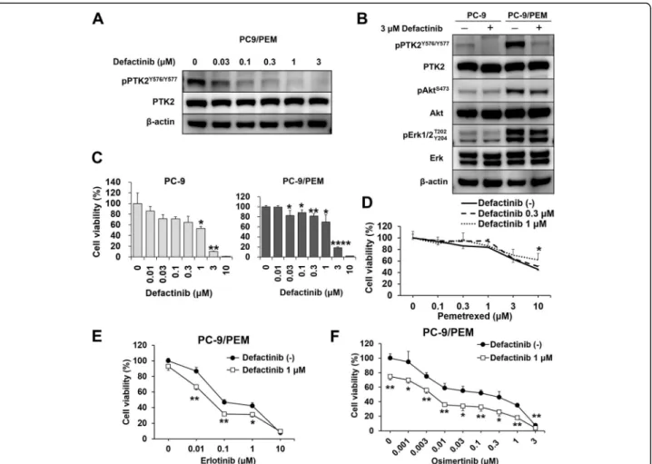 Fig. 3 The PTK2 inhibitor defactinib recovers EGFR-TKI sensitivity, but not pemetrexed sensitivity, in PC-9/PEM