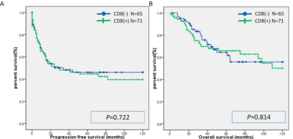Figure 2. Kaplan-Meier analysis of progression-free survival (A) and overall (B) survival between the CD8 (+) group and CD8(-) group.