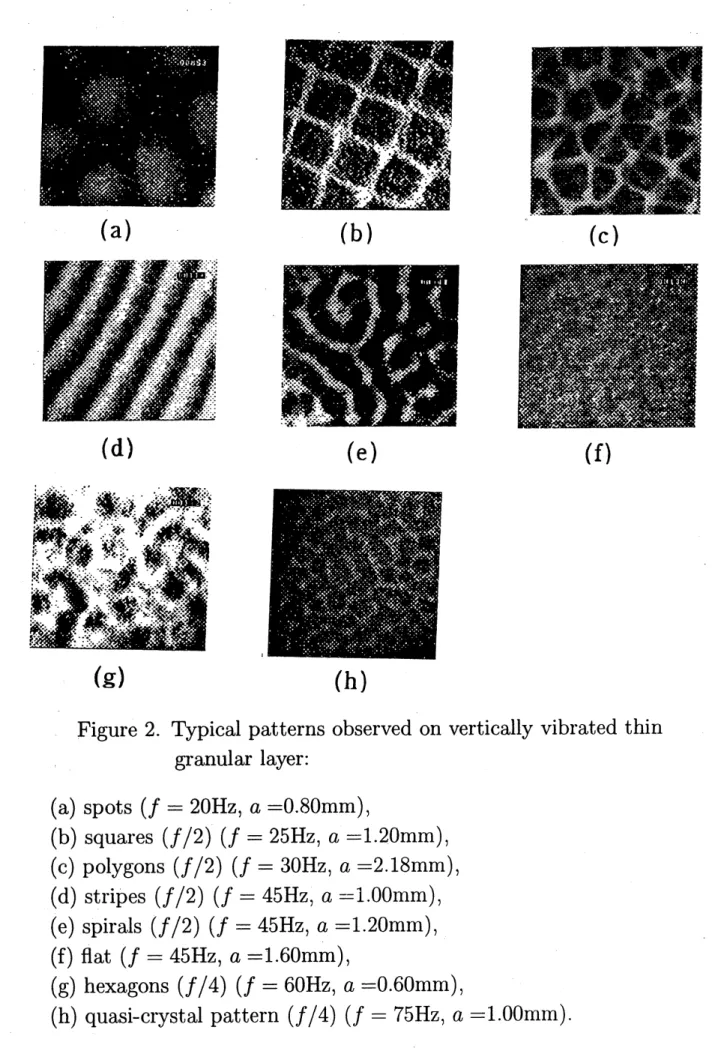 Figure 2. Typical patterns observed on vertically vibrated thin granular layer: