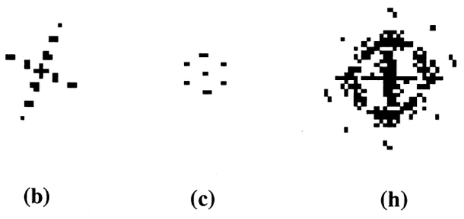 Figure 4. Fourier patterns of Figures $2\mathrm{b},$ $2\mathrm{c}$ and $2\mathrm{h}$ , showing 4-fold, 6-fold and 8-fold symmetries, respectively.