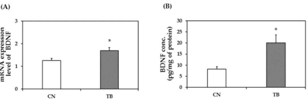Figure 8. The effect of theobromine (TB) on brain derived neurotrophic factor (BDNF) mRNA and  protein levels