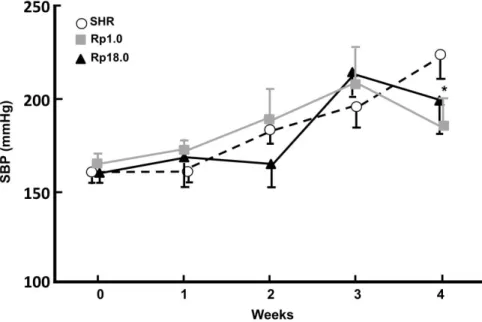 Figure 1: Six rats of each strain were used.  *  p&lt;0.001 vs control SHR (the Student’s t-test), which was  significant after the Bonferroni’s correction