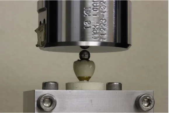 Fig. 3.  A photograph of the apparatus used for fracture-resistance testing shows the  position of the stainless-steel ball and tin foil at loading onset