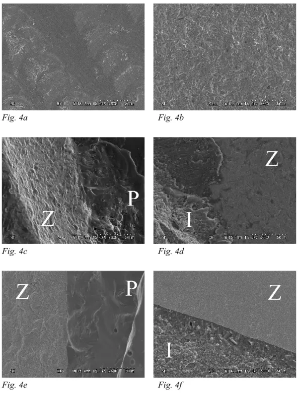 Fig. 4. SEM image of representative zirconia surfaces (original magnification × 600); 