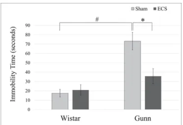 Fig. 1. Effect of ECS on immobility time of normal rats and Gunn rats in the FST.Immobility time of Gunn rats was significantly longer than that of Wistar rats