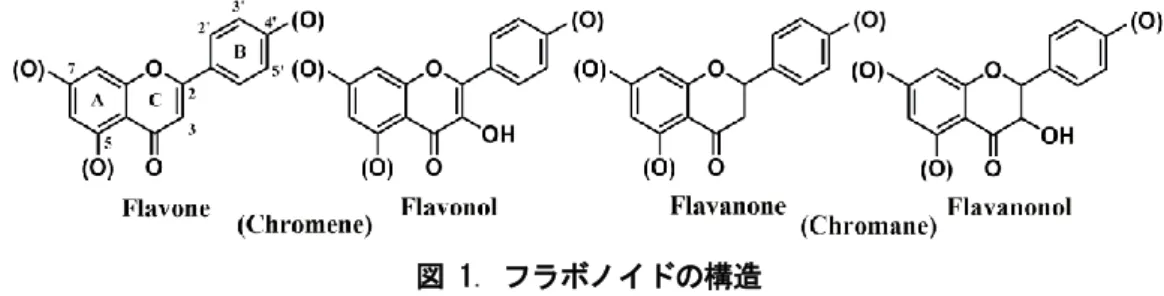 図 1. フラボノイドの構造 