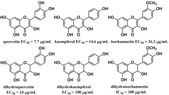 Figure 5. Structures and DPPH radical scavenging activity of flavonoids. (Data  were taken from ref [49]) 