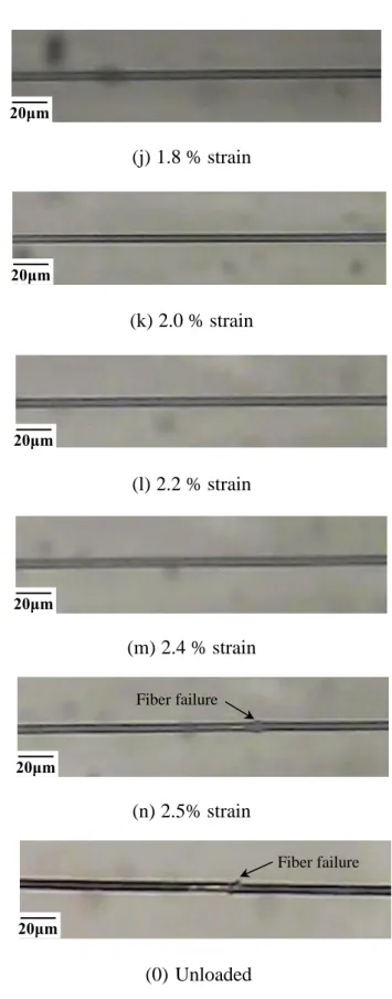Figure 2-7 Compressive failure of a single fiber model composite 