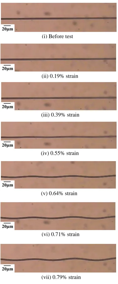Figure 3-1 Successive images of micro-buckling behavior of a single carbon fiber  embedded in epoxy matrix