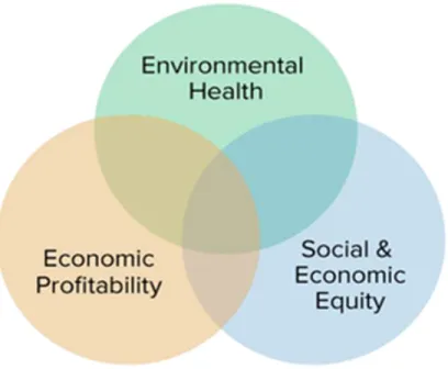Figure 1. Sustainable agriculture 