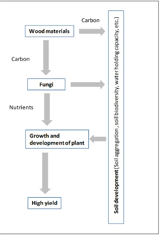 Figure  4.  Flow chart of sustainable agricultural technology by the use of wood materials 
