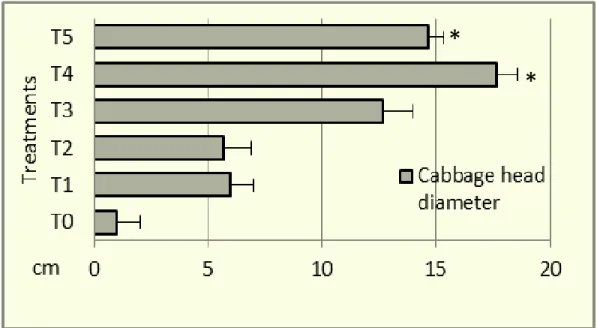Figure 8. The effect of different treatments on the head diameter of cabbage. Significant                     differences are indicated by asterisks (*P&lt;0.05), horizontal lines represent SE