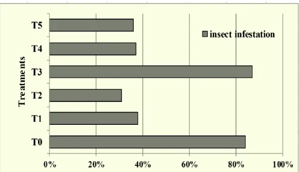 Figure 10. The effect of different treatments on insect infestation of cabbage. 