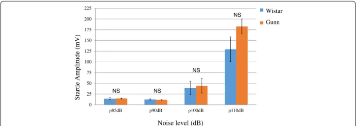 Fig. 3 Startle amplitude of the Wistar group compared to the Gunn group at the noise level 85, 90, 100, and 110 dB