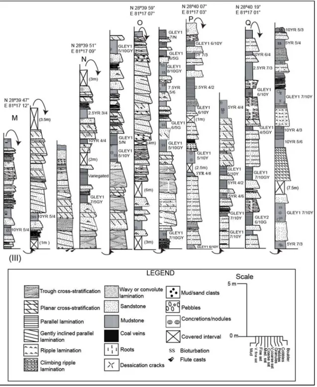 Fig.  4.4:  (Contd.):  Typical  columnar  sections  of  the  Chisapani  Formation.  III)  Upper  member
