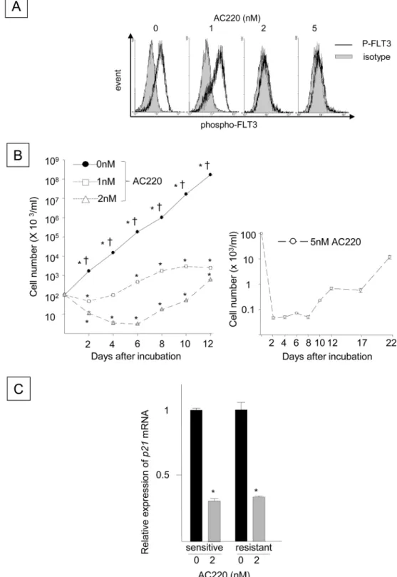 Fig 4. Blocking FLT3-ITD Using AC220 Decreases p21 Expression Coincident with Emergence of FLT3-ITD + Cells Refractory to AC220