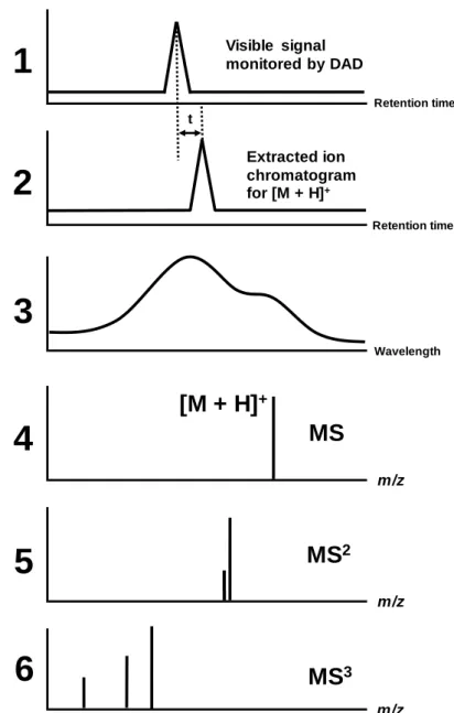 Fig. 1.6  Analysis procedure for Disperse dye 