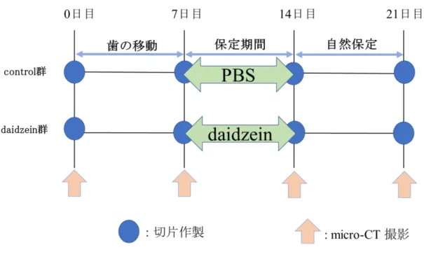 Fig. 3  実験スケジュール