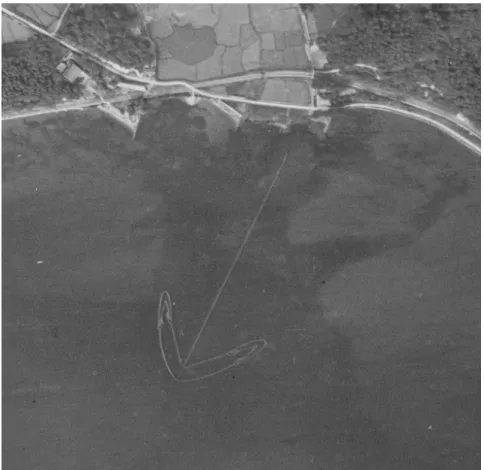 Figure 2-8. 刺し網が確認された空中写真の一例 