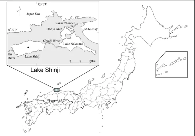 Fig. 1-1.    Study location. Lake Shinji, the surrounding area.    これらの侵入した高塩分水の移動・混合現象の観測は容易ではなく，その事例はそ れほど多くはない。中海では，例えば筆者らの行った調査  (godo et al., 2001)  があり， 連続した強風により中海の特性でもある水塊の 2 層構造の上層と下層の水の動き，塩 分と風との関係を捉えている。 1996 年 10 月 31 日から 11 月 2 日にかけての観測では， 東の風