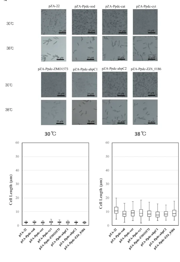 Figure 2.4. Continued 