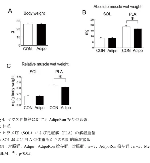 Fig 4.  AdipoRon A