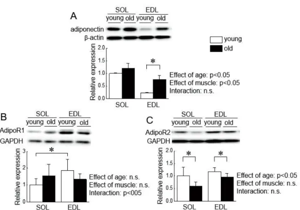 Fig 9.  SOL EDL
