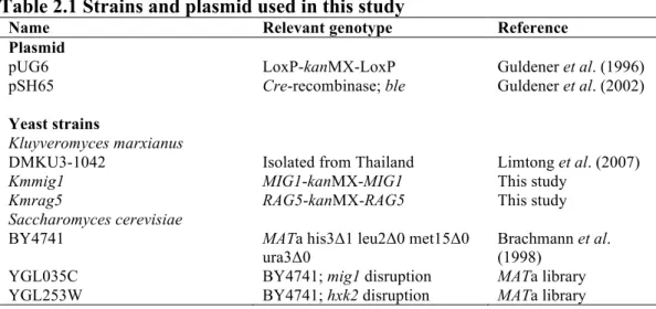 Table 2.1 Strains and plasmid used in this study 