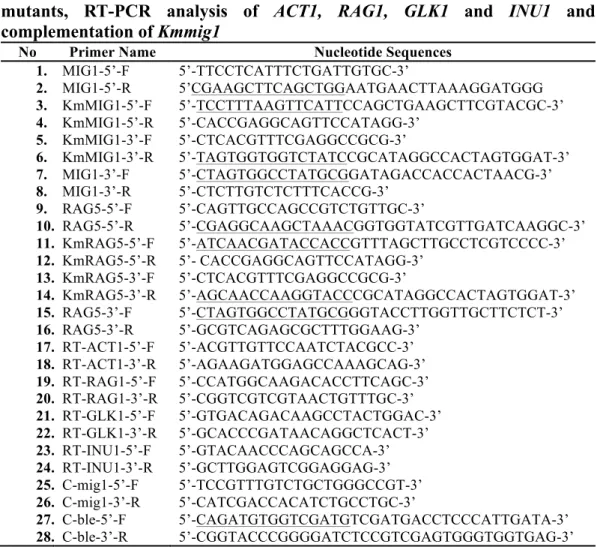 Table  2.2  Primers  list  for  construction  of  Kmmig1  and  Kmrag5  disrupted  mutants,  RT-PCR  analysis  of  ACT1,  RAG1,  GLK1  and  INU1  and  complementation of Kmmig1 