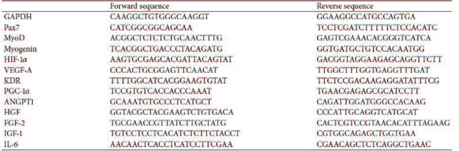 Table 1 Real-time reverse transcriptional-PCR (RT-PCR) primer sequences. 