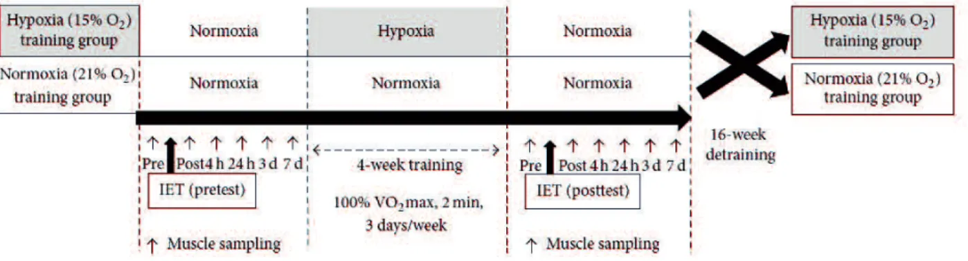 Figure 1 Schematic figure of the experimental schedule. The training protocol adopted a randomized  crossover design, which was separated by a 16-week detraining period