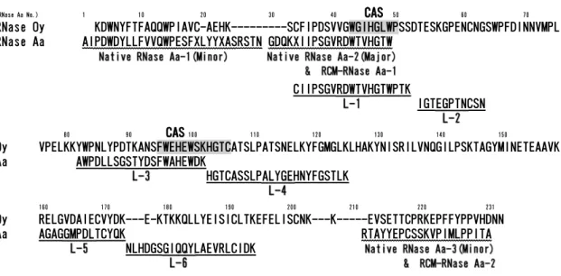 Fig. 17 Partial Amino Acid Sequence of RNase Aa from Asterias amurensis 