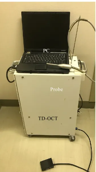 Fig. 1 Time-domain OCT system used in this study. 