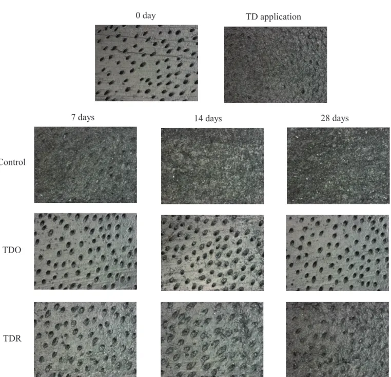 Fig. 3 Laser scanning microscope observations of dentin surfaces. 