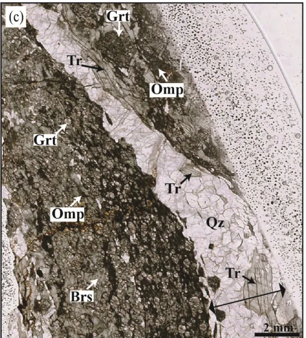 Fig. 3. 2 Microphotopgraph of amphibole-rich veins in the eclogite matrixes. Veins are indicated  by  double-headed  arrows